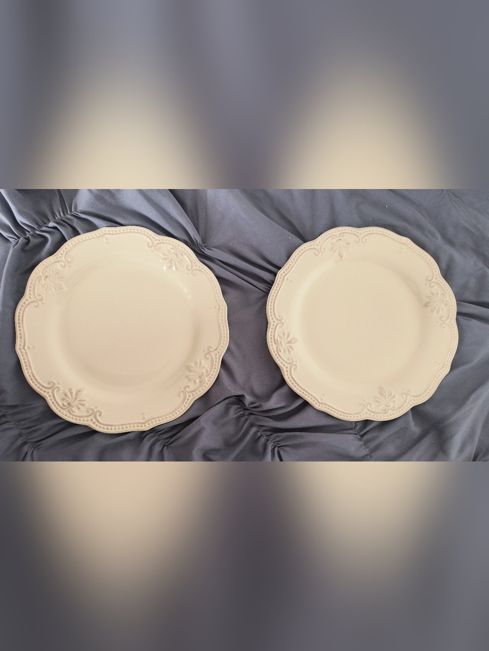 PIER 1 ABIGAIL Stoneware Raised Embossed DINNER PLATES - SET OF 2